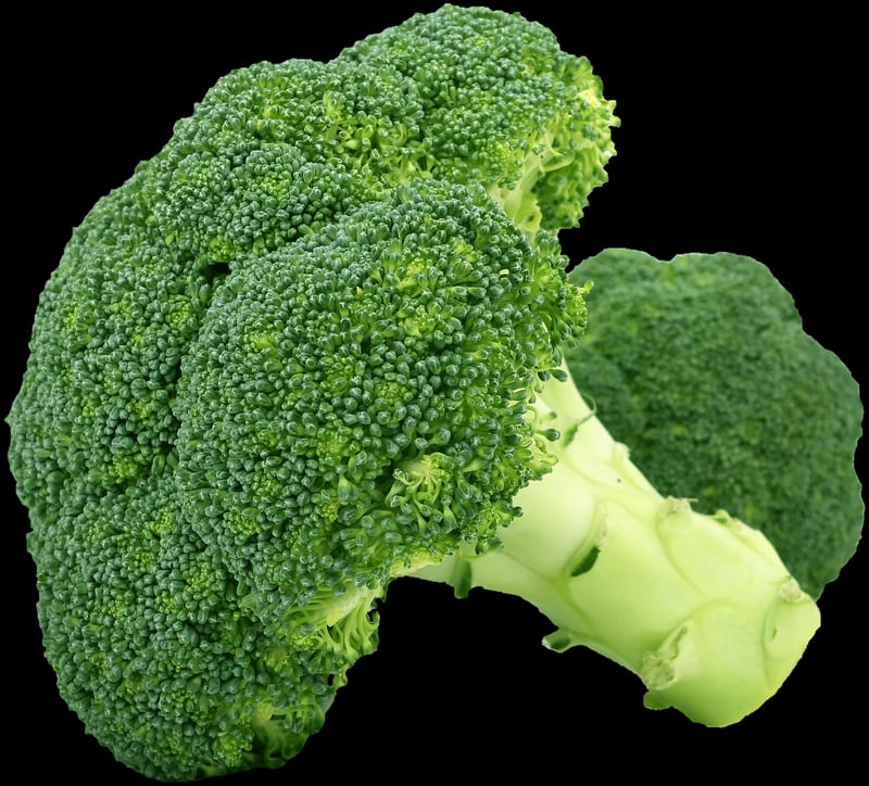 Plant-Based Dinner